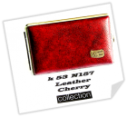 K 53 TOP CIG. CASES